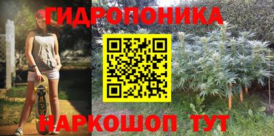 прущие грибы Будённовск