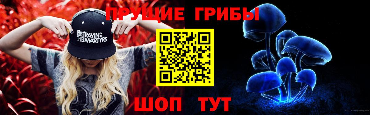 Псилоцибиновые грибы GOLDEN TEACHER  Вход с VPN  Нижний Тагил 